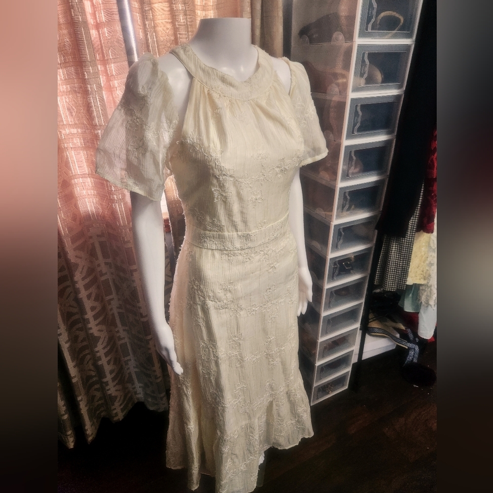 Romantic Sheer Lined Flower Embriodered Dress NWT Fits Size L